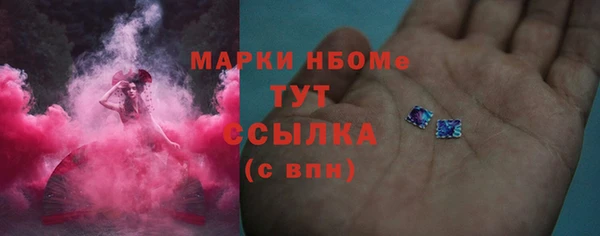 СК Горнозаводск