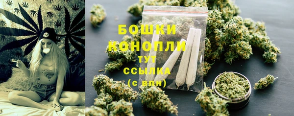 СК Горнозаводск