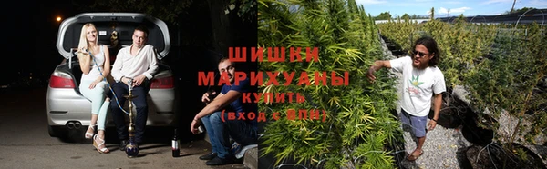 apvp Горно-Алтайск